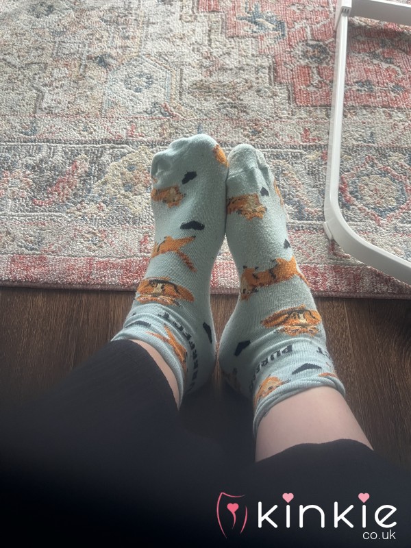 72hr Kitty Socks