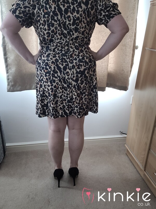 Animal Print Dress