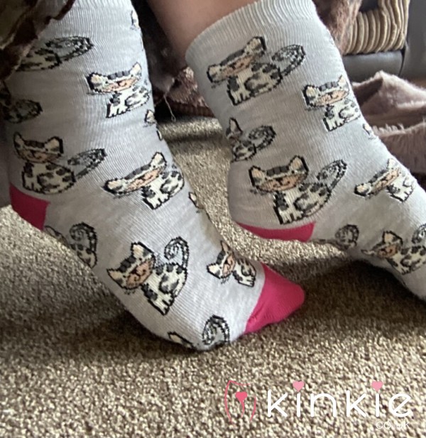 Cute Kitty Socks Free Postage