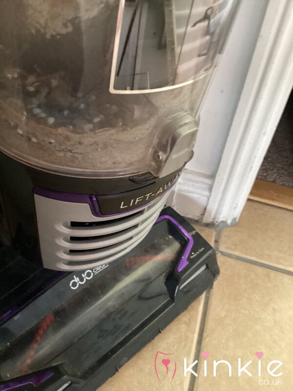 Hoover Bag Dust