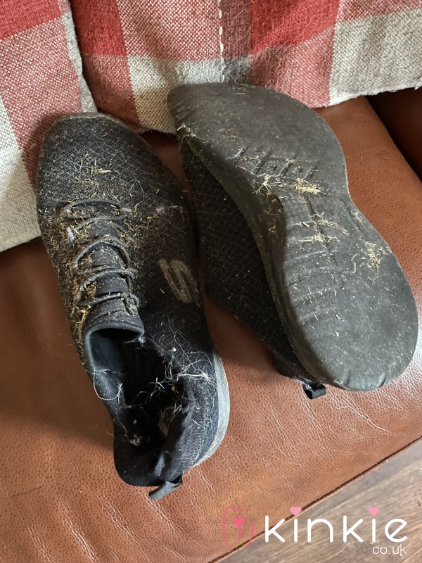 WELL WORN TRAINERS