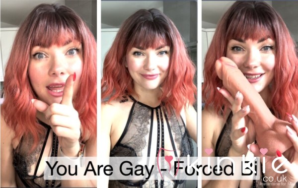 You Are Gay- Imposed Bi